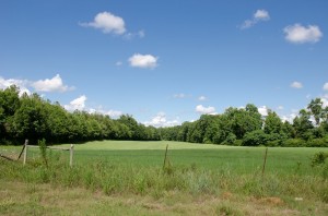 farm land for sale